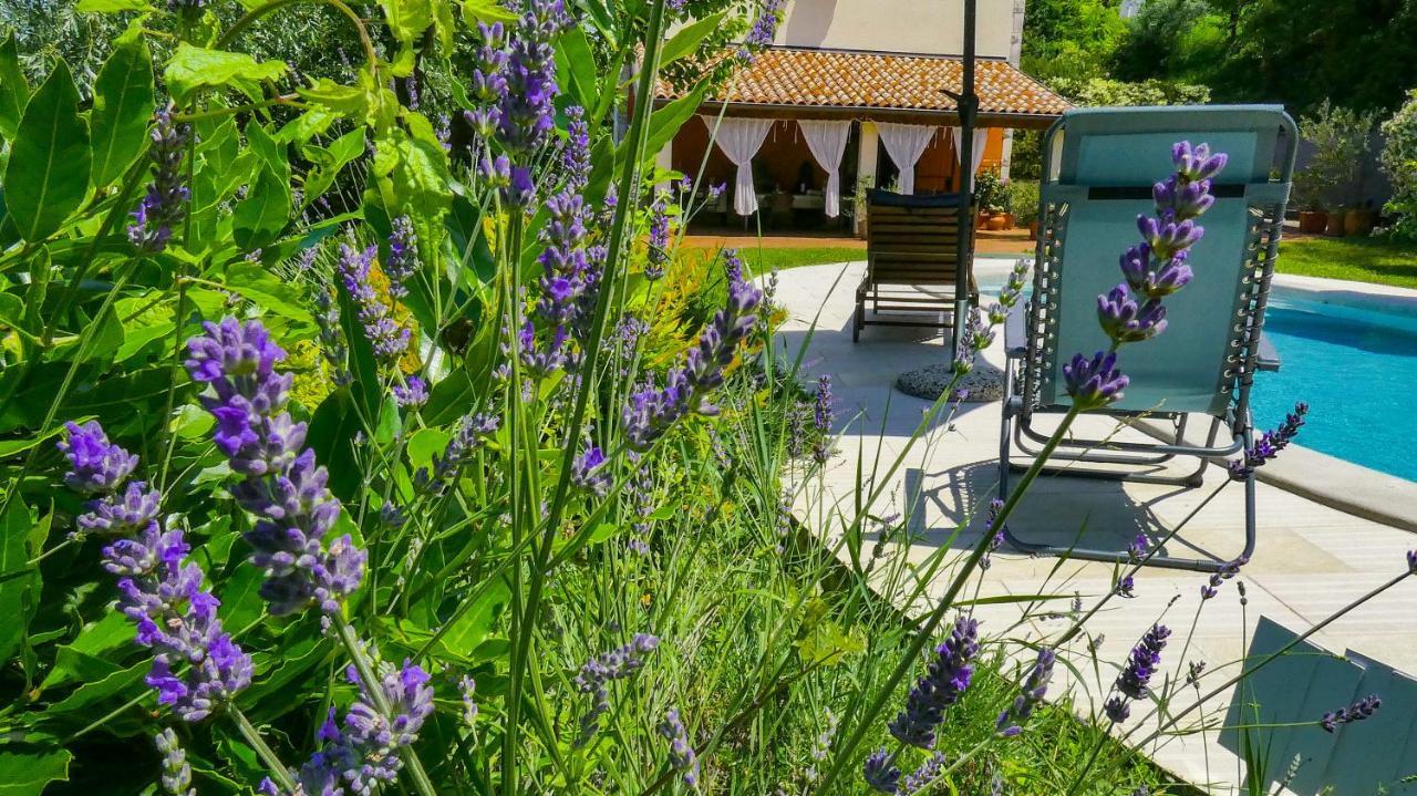 Apartment Nona Ancka Марезиге Екстериор снимка